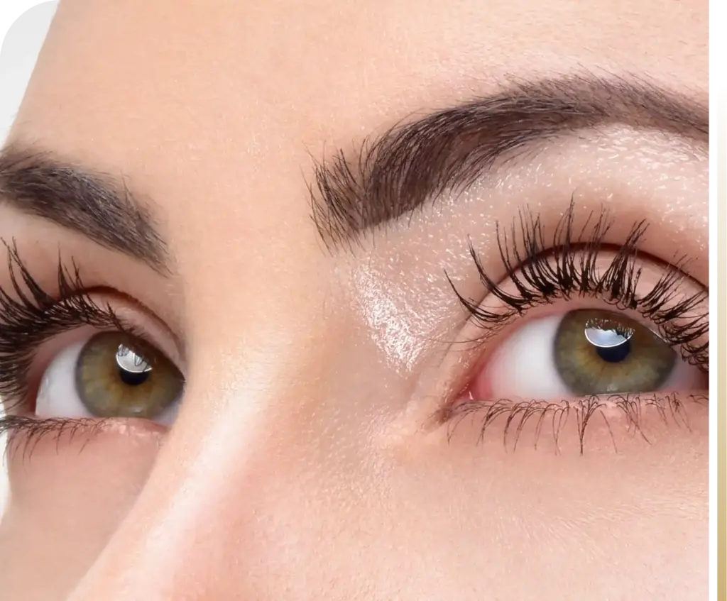 Lash Lift and Tint in Lee's Summit, MO